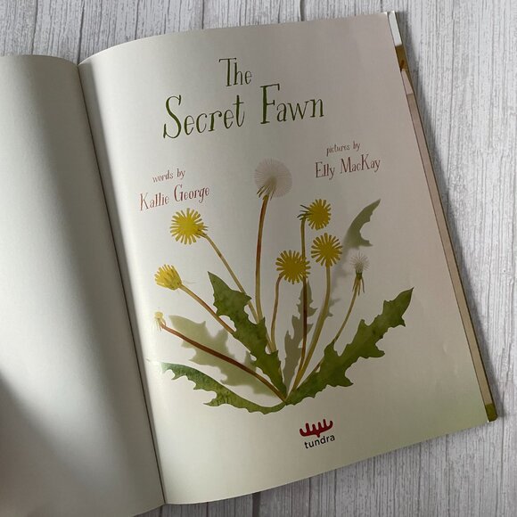 ๐ 4/$20 The Secret Fawn | Kids Books Childrens Books - Picture 3 of 6
